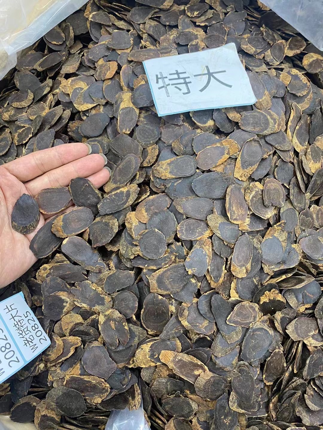 13334655100641206.jpg