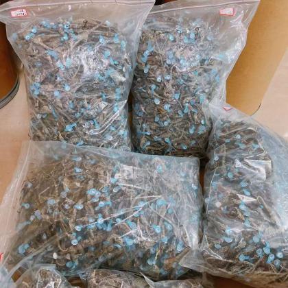 正规溯源码海马