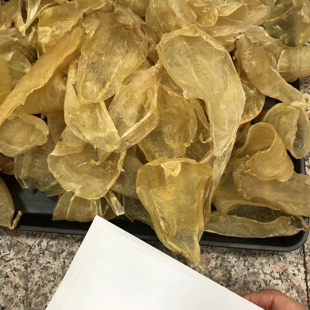 微信图片_20230806110206_1.jpg