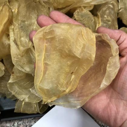 足干印尼白花胶（公）